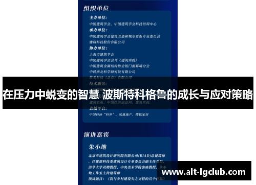 在压力中蜕变的智慧 波斯特科格鲁的成长与应对策略