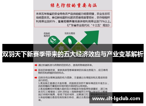 双羽天下新赛季带来的五大经济效应与产业变革解析