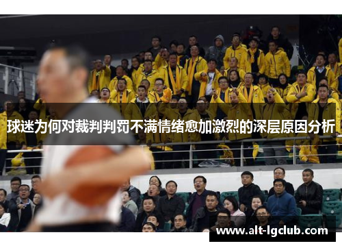 球迷为何对裁判判罚不满情绪愈加激烈的深层原因分析