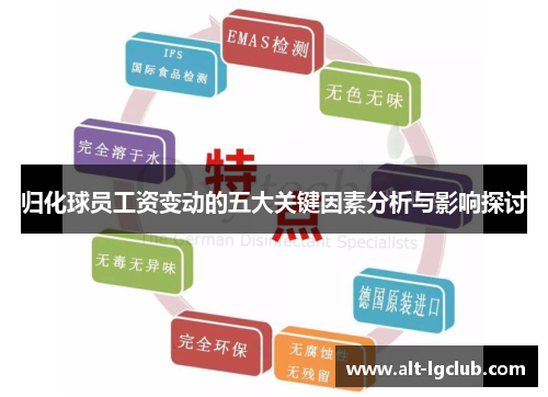 归化球员工资变动的五大关键因素分析与影响探讨
