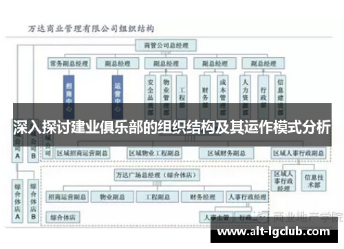 深入探讨建业俱乐部的组织结构及其运作模式分析
