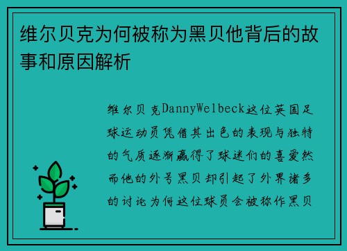 维尔贝克为何被称为黑贝他背后的故事和原因解析