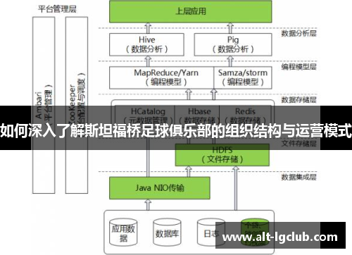 如何深入了解斯坦福桥足球俱乐部的组织结构与运营模式