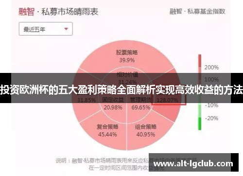 投资欧洲杯的五大盈利策略全面解析实现高效收益的方法