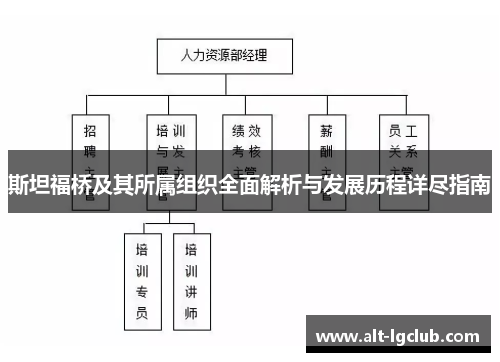 斯坦福桥及其所属组织全面解析与发展历程详尽指南